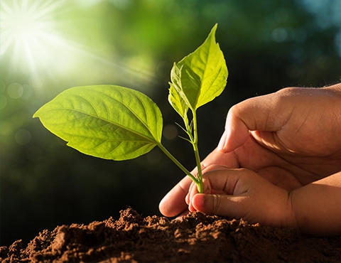 2歐洲環境衛星發現南極冰棚正快速消融