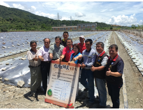 雞糞腐熟技術精進，花蓮西瓜農得利
