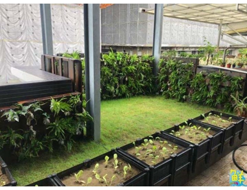 高市工務局建管處獎勵屋頂立體綠化 3類建物最高補助80萬元