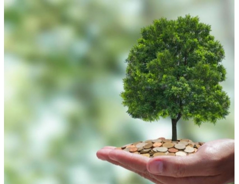 種碳也可以賺錢？環保意識下的農業新「錢」景